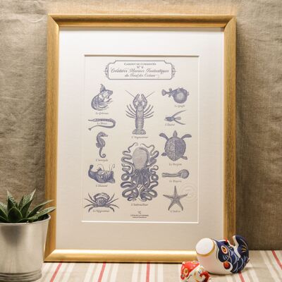 Poster Letterpress Fantastic Marine Creatures, A4, Meer, Sommer, Kuriositätenkabinett, Vintage, Marineblau