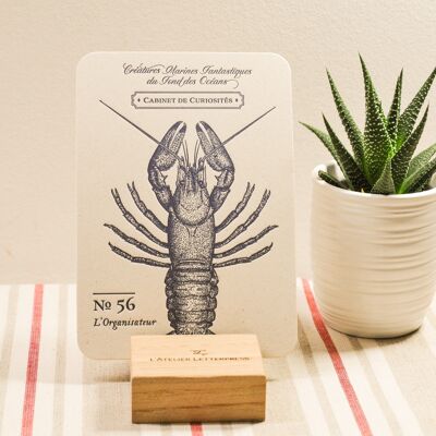 Lobster Letterpress card, sea, summer, vintage, very thick recycled paper, relief, navy blue, Brittany