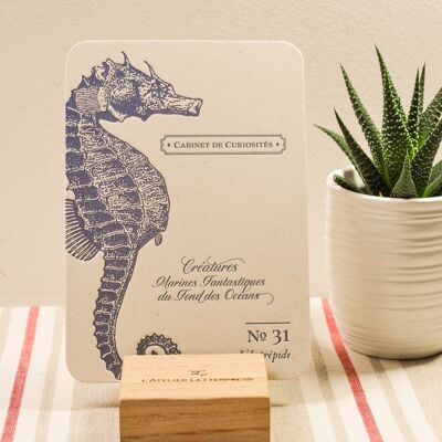 Seahorse Letterpress card, mar, verano, vintage, papel reciclado muy grueso, relieve, azul marino