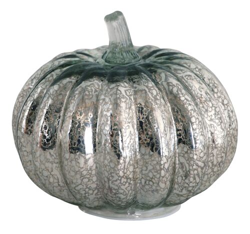 Battery Glass Pumpkin silver Low, 6pdq