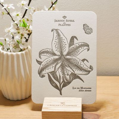Carte Letterpress Botanique Lys des Montagnes, fleur, vintage, papier vergé épais