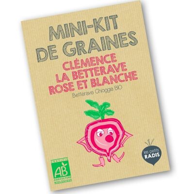 Mini organic seed kit of Clémence the pink and white beetroot