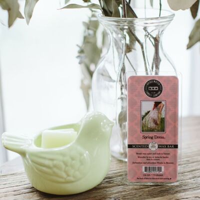 SPRING DRESS scented wax