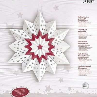 Christmas star, polar white / ruby red