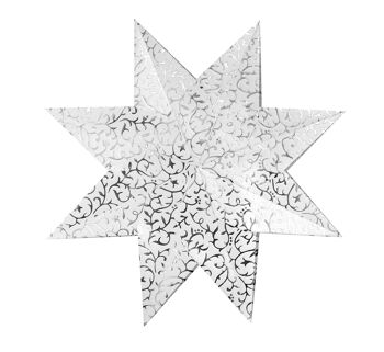 Étoiles de Noël "Stella Apart Klassik", blanc / argent 7