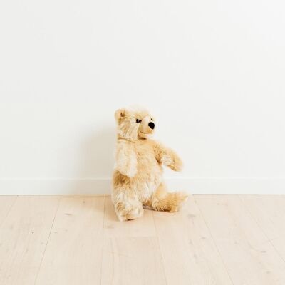 Mon ours jules miel – moyen – 50 cm