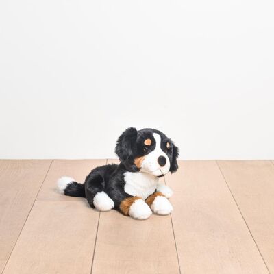 MY DOG FERDINAND - LITTLE EXTENSION - 30 CM