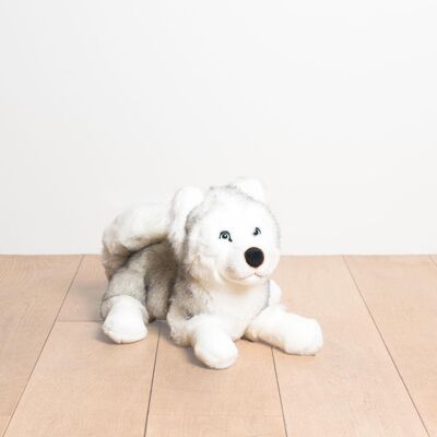 Mon husky leonard – moyen – 45 cm