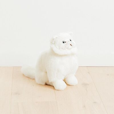 Mon chat oscar – moyen assis – 40 cm