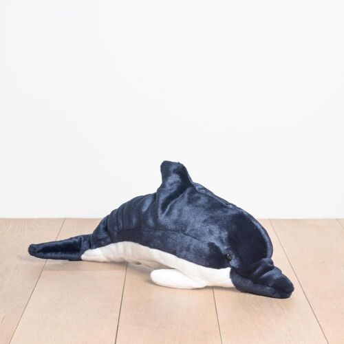 Mon dauphin auguste – moyen – 60 cm