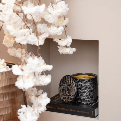 Candle urbicus silver (M)