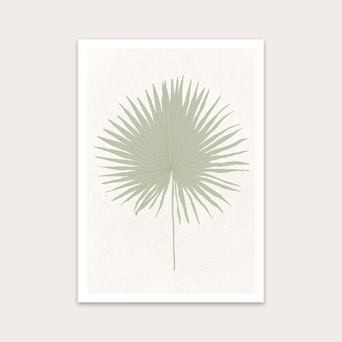 Sage Sun Palm Art Print A4