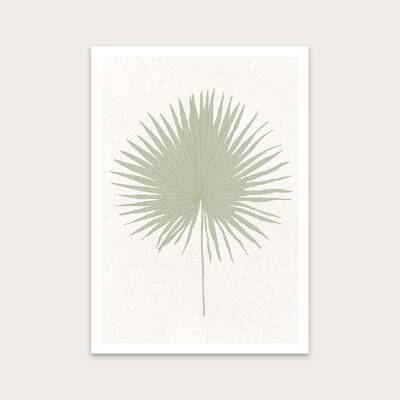 Sage Sun Palm Art Print A4