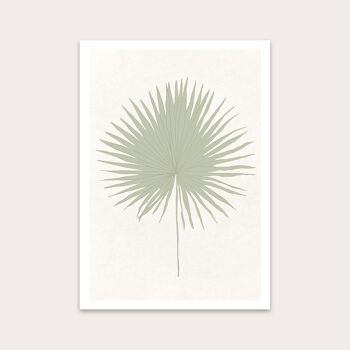 Sage Sun Palm Art Print A4 1