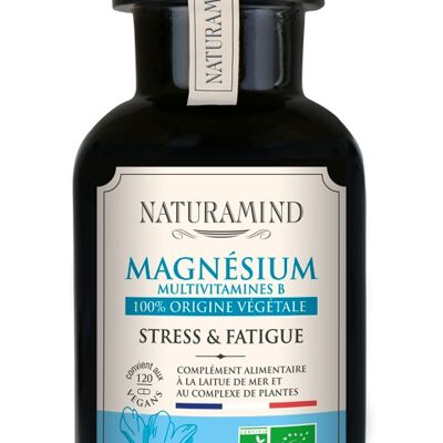 Magnésium et vitamines B BIO - origine végétale - 120 gélules