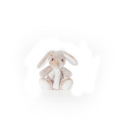 Soft toy beige rabbit floppy tpm