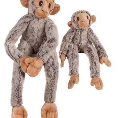 singe floppy pm