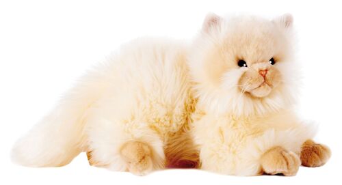 Peluche chat persan mm