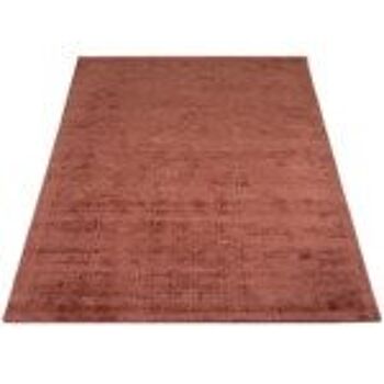 Karpet Viscose Terra 160 x 230 cm 2