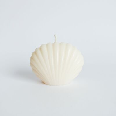 Candela Sea Shell Off-White