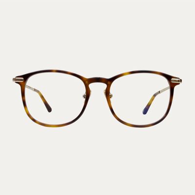 Harvey.K Tortoise - Light Blue