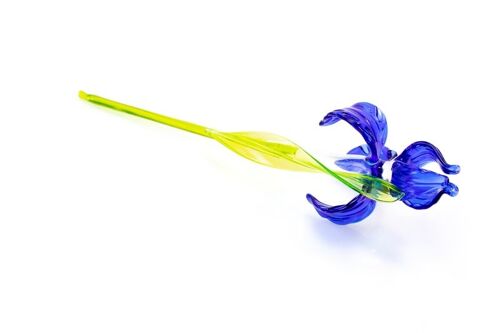Glazen Iris Blauw 30 cm.