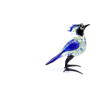 Glasvogel Wiedehopf Vogel Blau