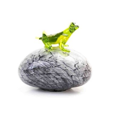 Frog on Gray Stone