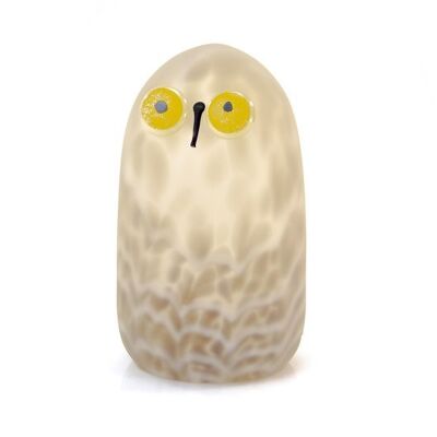 Verre Hibou Gris