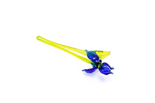 Blauwe Iris 18 cm.