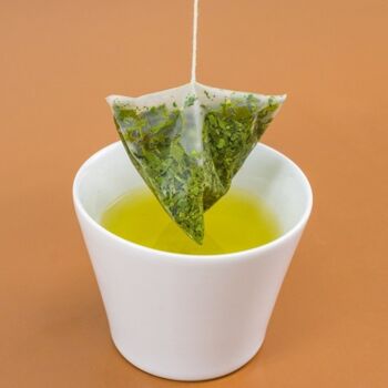 Sachets de thé Easy Ice Tea - Thé vert japonais bio 2