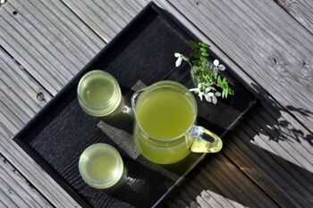 Sachets de thé Easy Ice Tea - Thé vert japonais bio 3