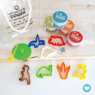 Coffret Dinosaure Mini