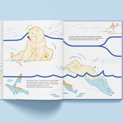 Livre pour enfants - Suis du doigt l'ours polaire
