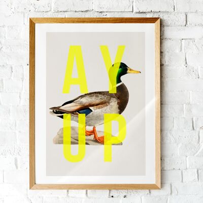 Ay Up Canard - Portrait A4