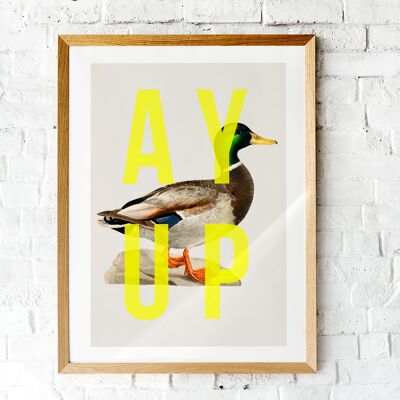 Ay Up Duck - A4 Hochformat