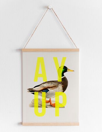 Ay Up Canard - Portrait A4 2