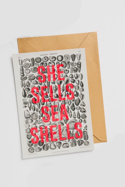 She Sells Sea Shells - Single Card