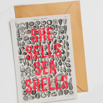 She Sells Sea Shells - Tarjeta única