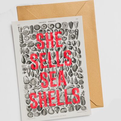 She Sells Sea Shells - Single Card