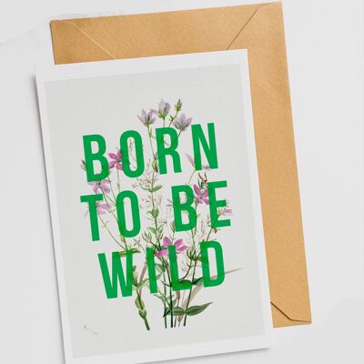 Born To Be Wild - Tarjeta única