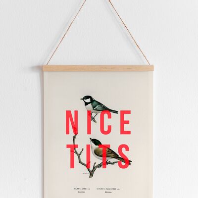 Nice Tits (Coal Tit & Marsh Tit) - A4