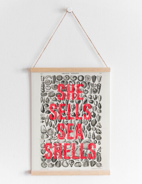 She Sells Sea Shells - A4