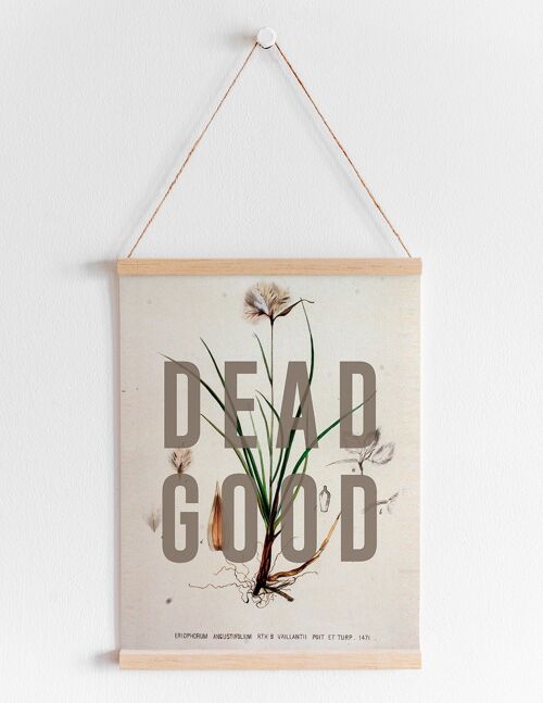 Dead Good - A4