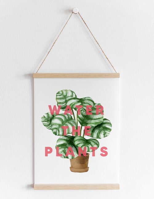 Water The Plants - A4