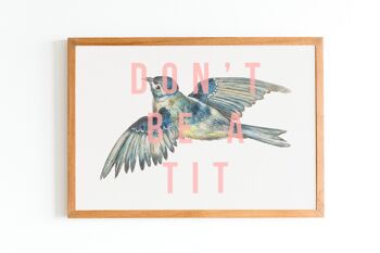 Don't Be A Tit - A4 paysage 2