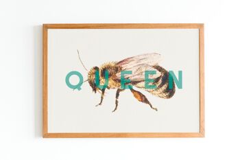 Reine des abeilles 2