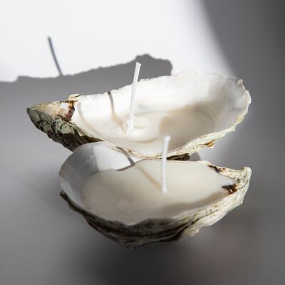 Oyster candle