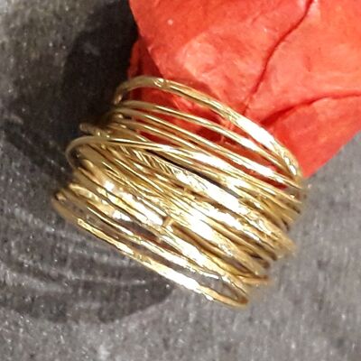 18k Gold Plated Nid Ring
