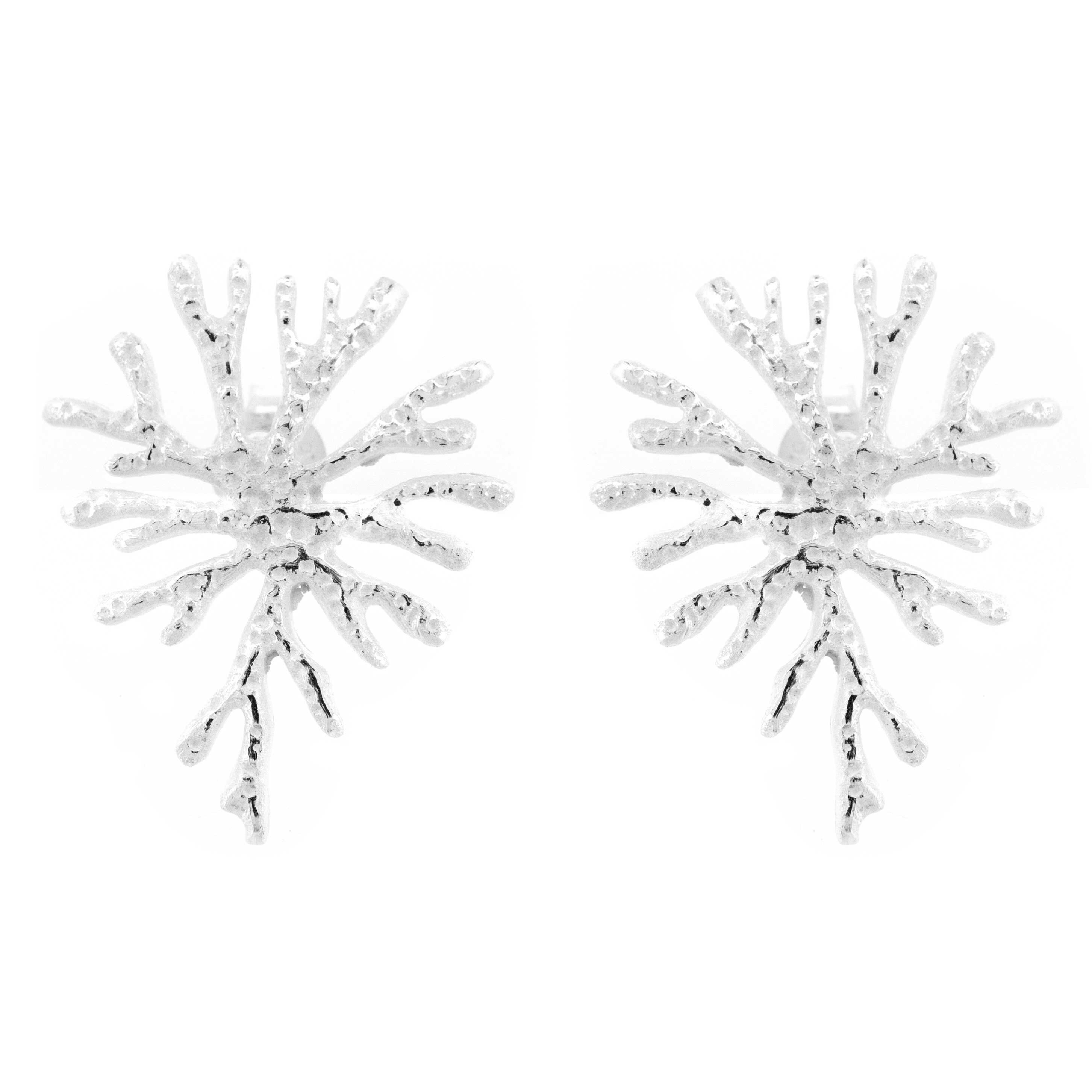 Pendientes de plata de ley con diseño de plantas del mar y caja de presentación